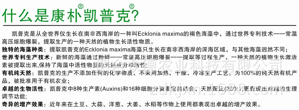 德国进口 康朴凯普克 优质农用水溶肥料 山东化肥厂代理 批发