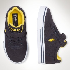 pPOLO2-17137478_standard_t240