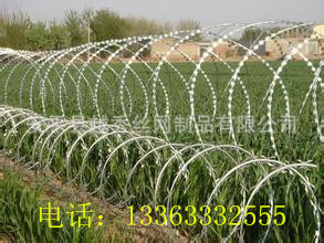 u=3210016069,2866757580&fm=21&