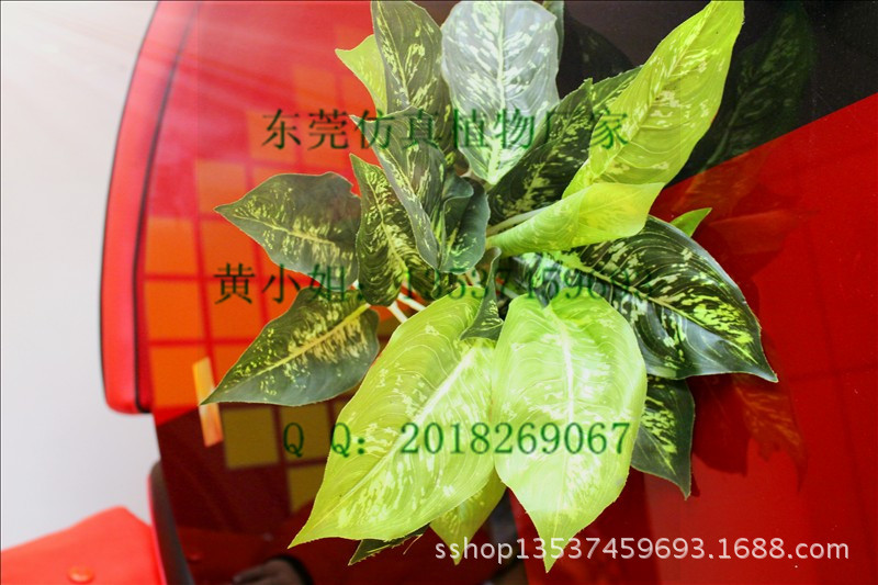 半点银河 小 (2)