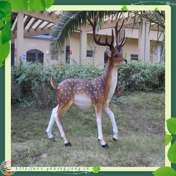 梅花鹿-公鹿1