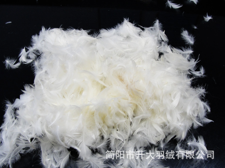 2-6cm 白鸭毛 标准羽毛片 羽绒沙发填充用细毛片 升大羽绒羽毛厂