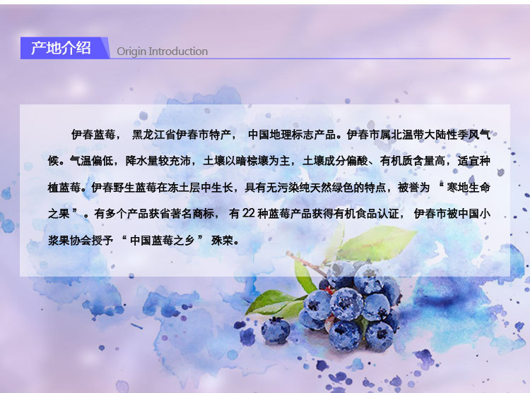 东北特产 森骄蓝莓果干零食 罐装休闲食品 大兴安岭野生蓝莓果干