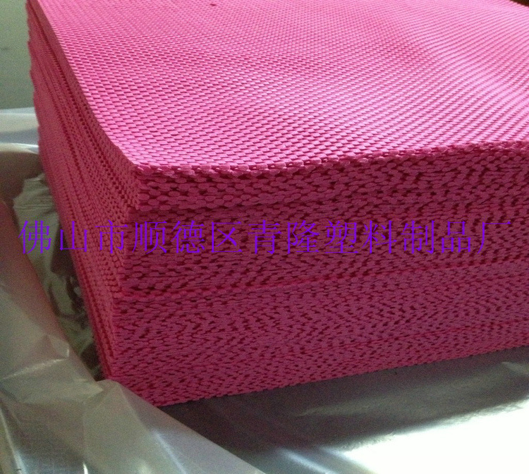conew_照片 1550
