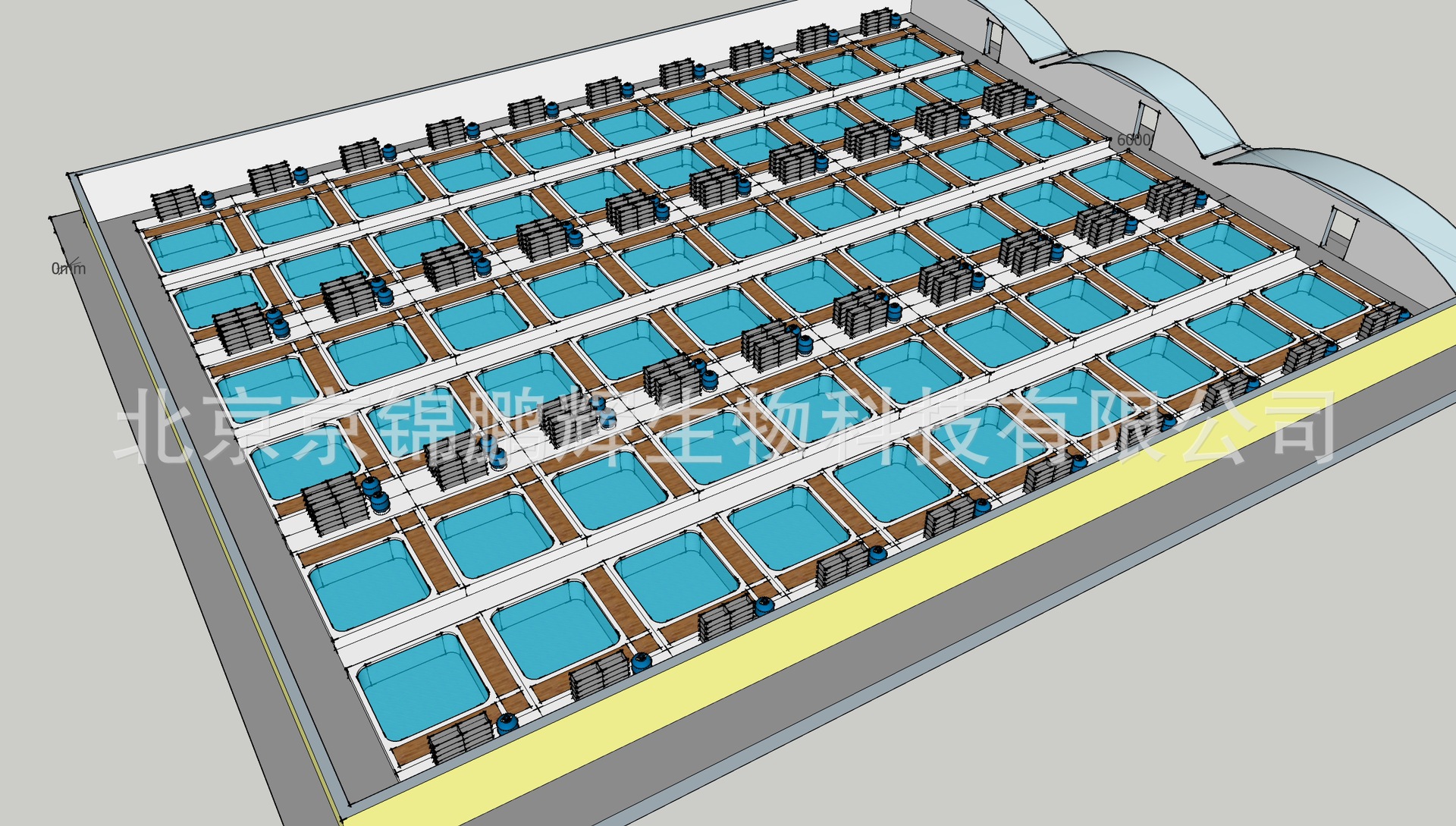 智能化温室养鱼场设计建造工厂化循环水养鱼场设计建造