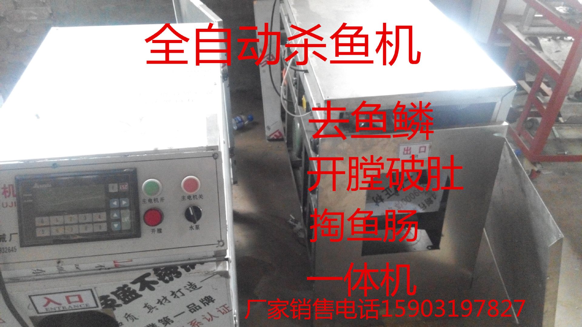 邢台2015新型杀鱼机 ***专业的全自动杀鱼机制造厂家
