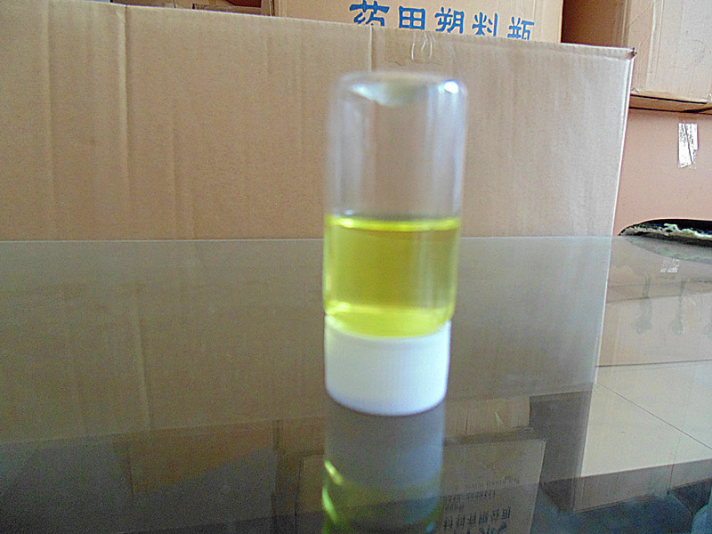 DSC00866_副本