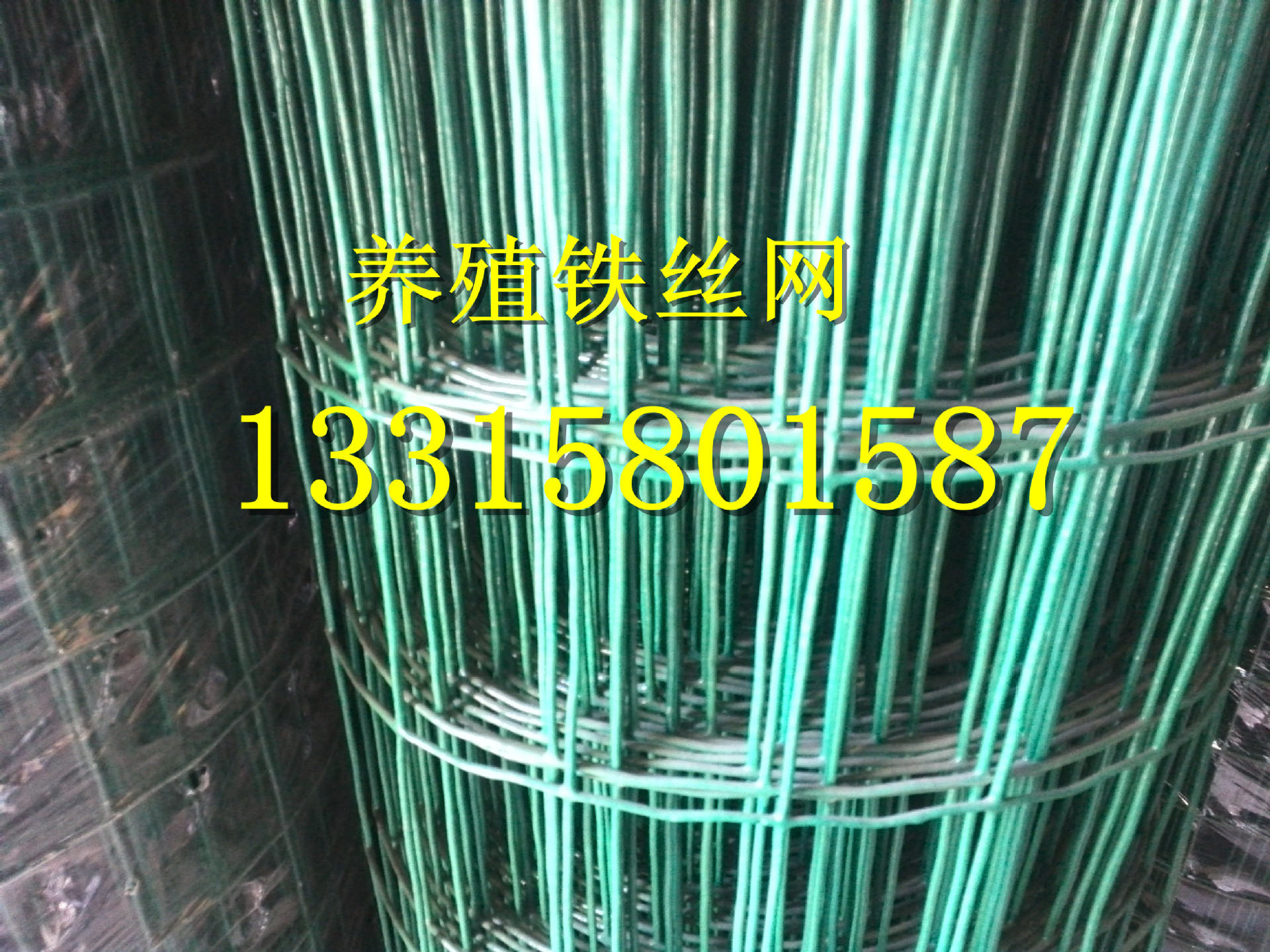 IMG_20131205_103327935