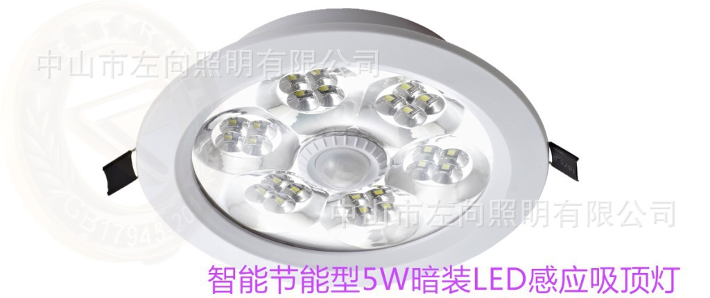 智能吸顶灯(DX-5WB)
