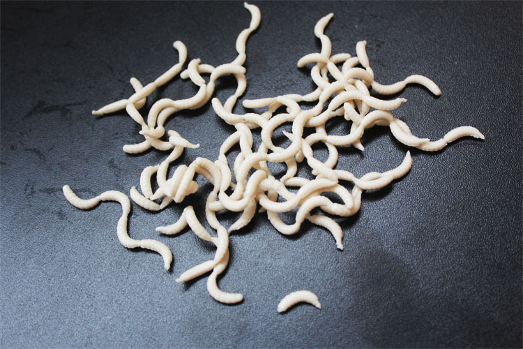 吉庆渔具批发 路亚假饵仿生饵白蛆虫 盒装腥臭味假软虫饵鱼饵蚯蚓