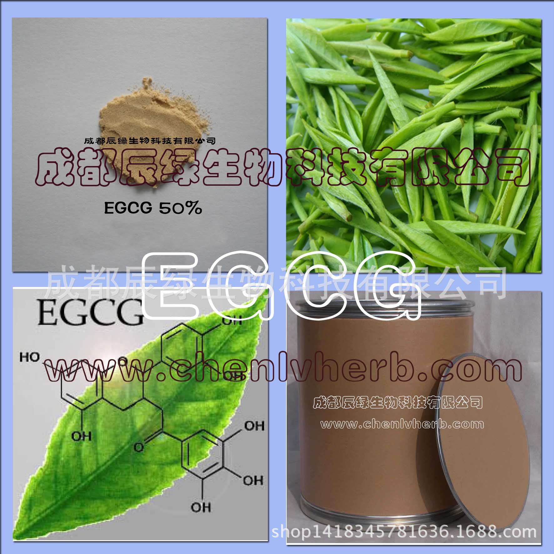 egcg90绿茶提取物茶多酚儿茶素绿茶提取物