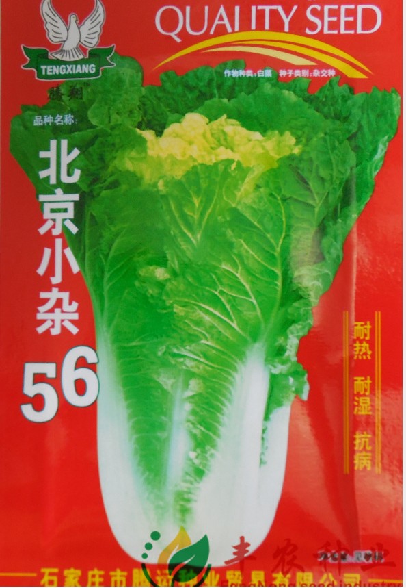 北京小白菜 聚萍一号青帮小白菜种植子 叶冠较圆 鲜嫩味美 100g