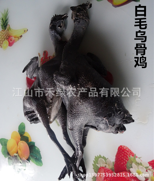 江山市禾绿农产品有限公司供白毛乌骨鸡老鸡