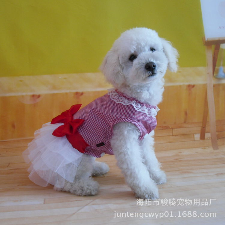 SAM_7977_副本