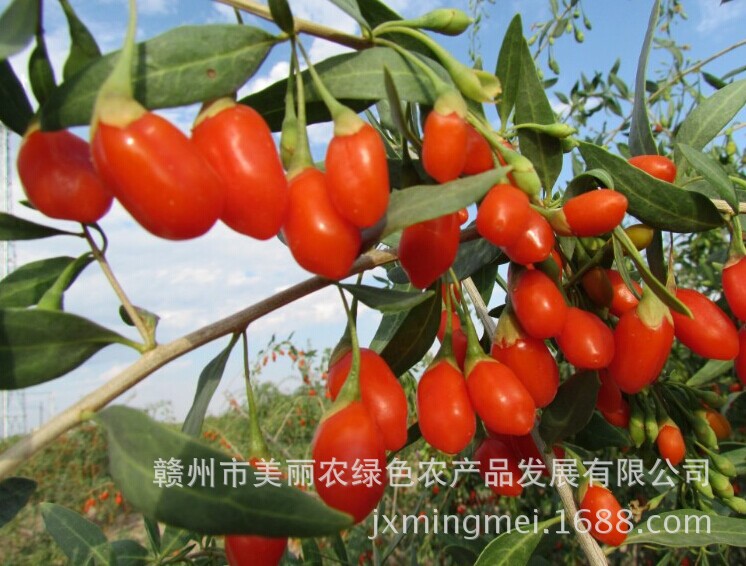 QQ图片20140705152136