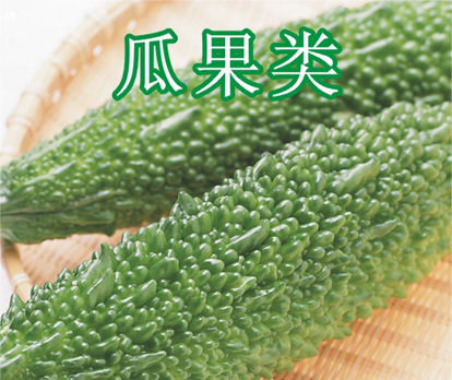 瓜果类