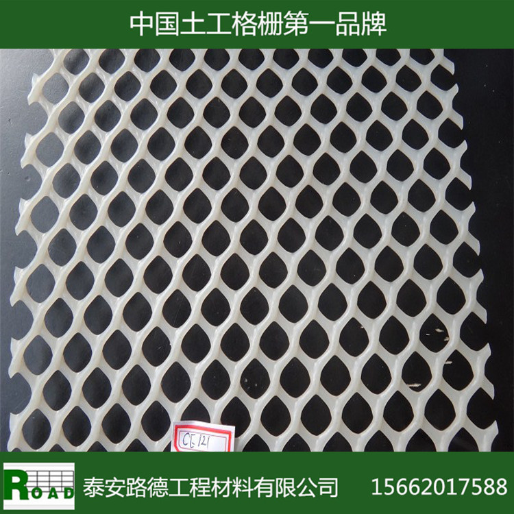 【促销】供应绿色大孔聚乙烯塑料网|护坡网|塑料边坡防护网