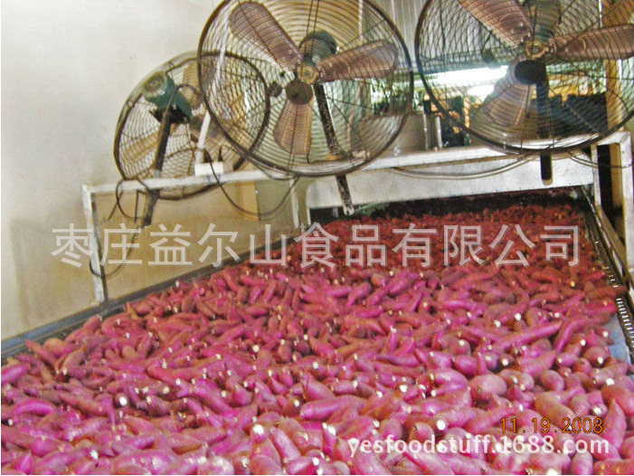 供应出口欧洲保鲜地瓜保鲜红薯红皮白心