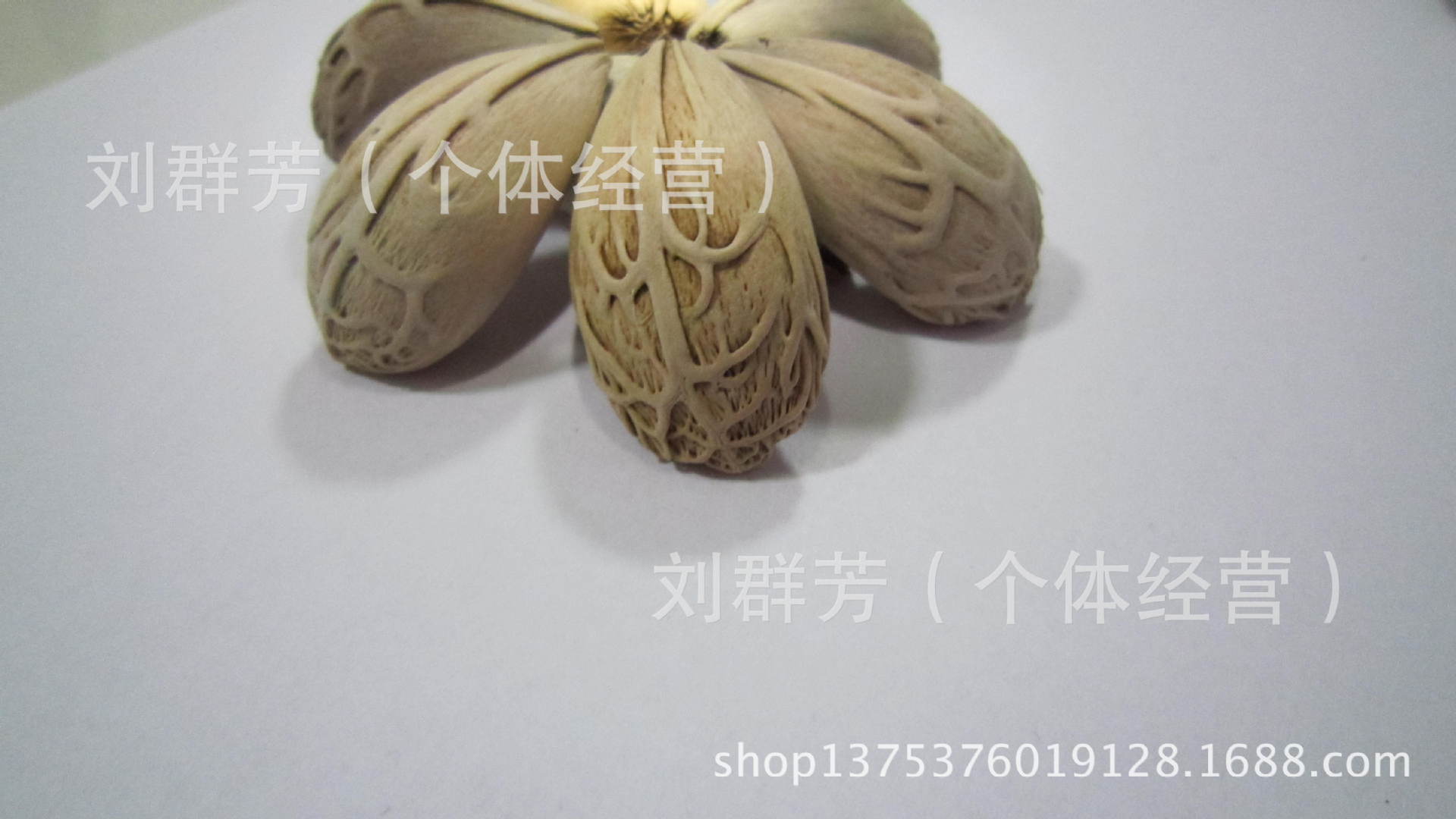 天然仙知菩提子原籽 蝉菩提原料 diy 先知 仙枝原果 厂家批发图片_69