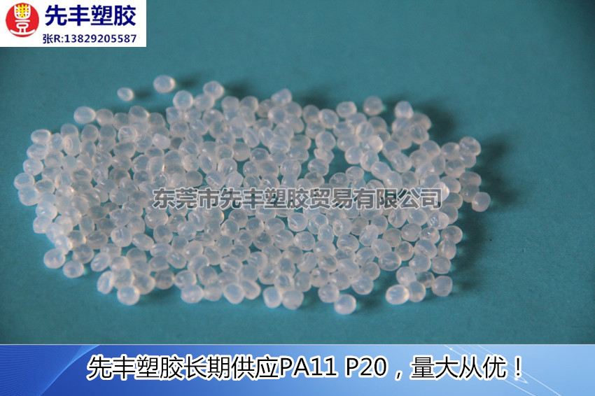 PA11 P20(4)_副本