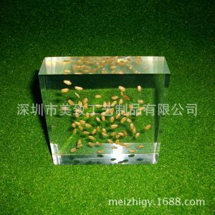 【专业生产】水晶胶工艺品 内埋工艺品 植物内藏工艺品