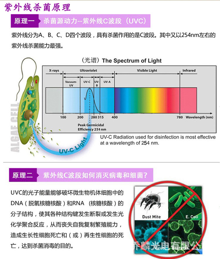 紫外線殺菌原理