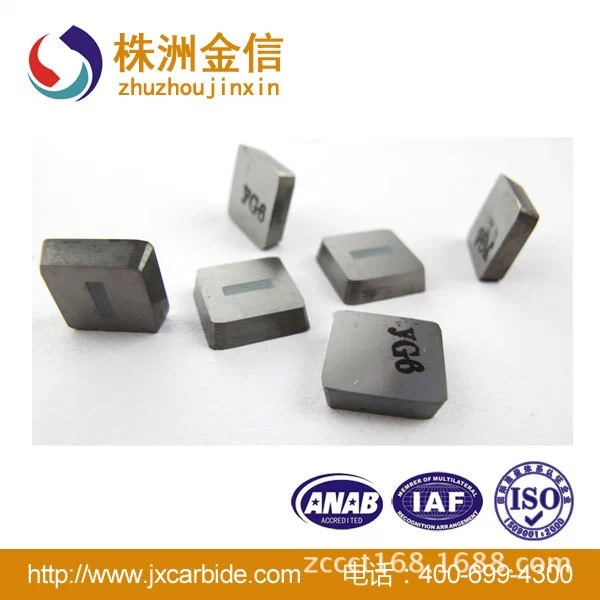 YG6 1.jpg_.webp