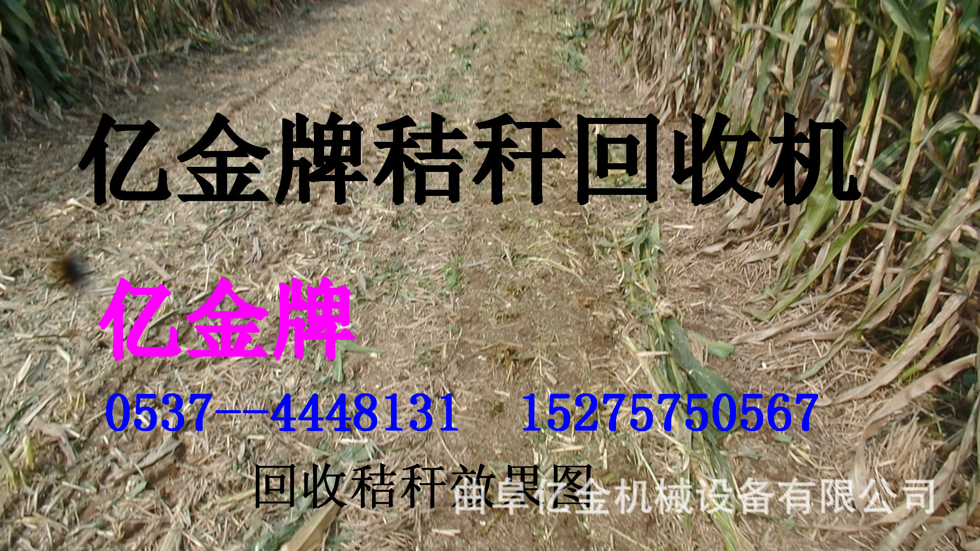 SAM_0018