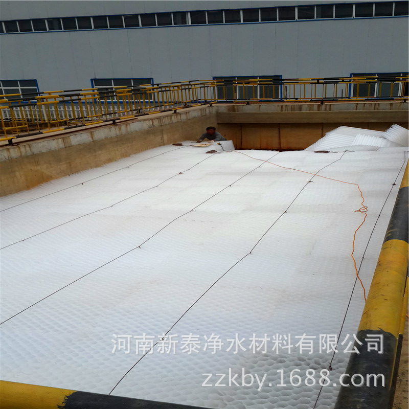 蜂窝斜管234 (15)