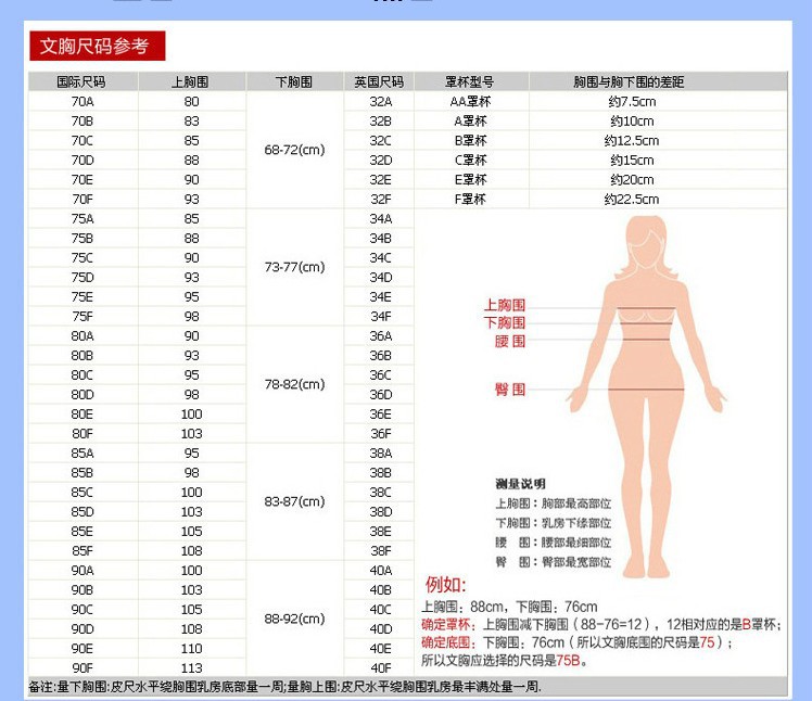 胸罩尺碼說明圖