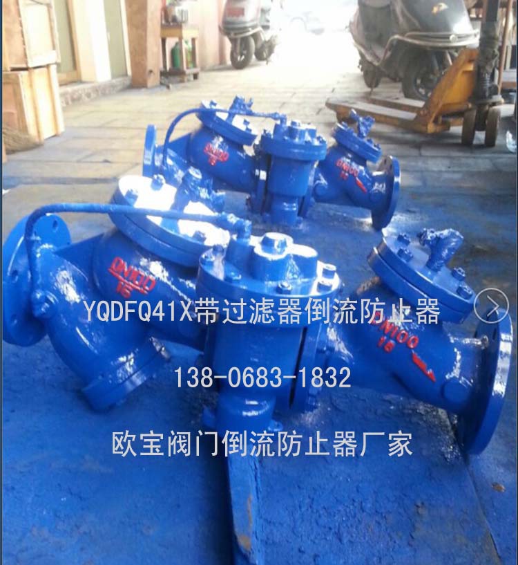 YQDFQ41X带过滤器倒流防止器（实物图带号码）