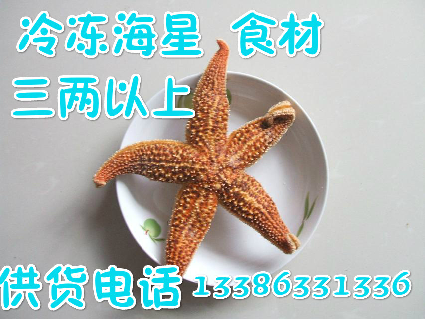 冷冻海星