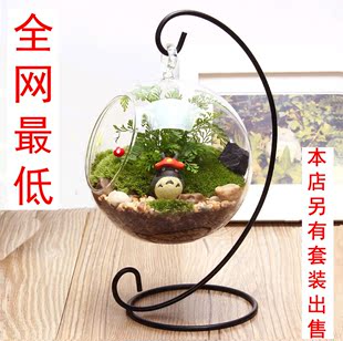 创意礼品心形铁架玻璃吊瓶 透明悬挂玻璃花瓶 玻璃微景观苔藓瓶