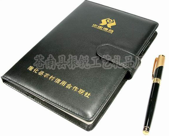 2011042309363168619副本