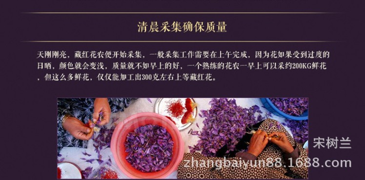 详情28