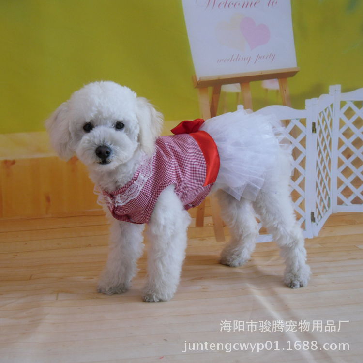 SAM_7968_副本