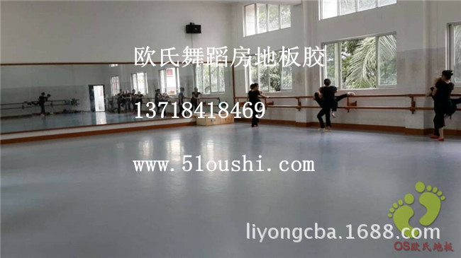 欧氏舞蹈房地板胶