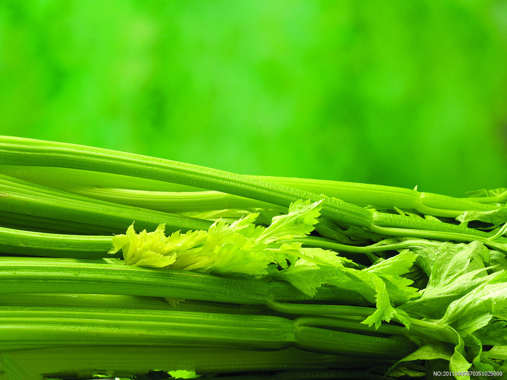芹菜6