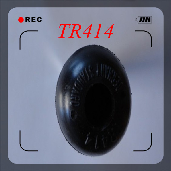 TR414 TIRE VALVE-1