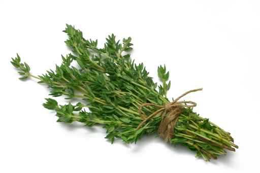 (thyme)   ͵  