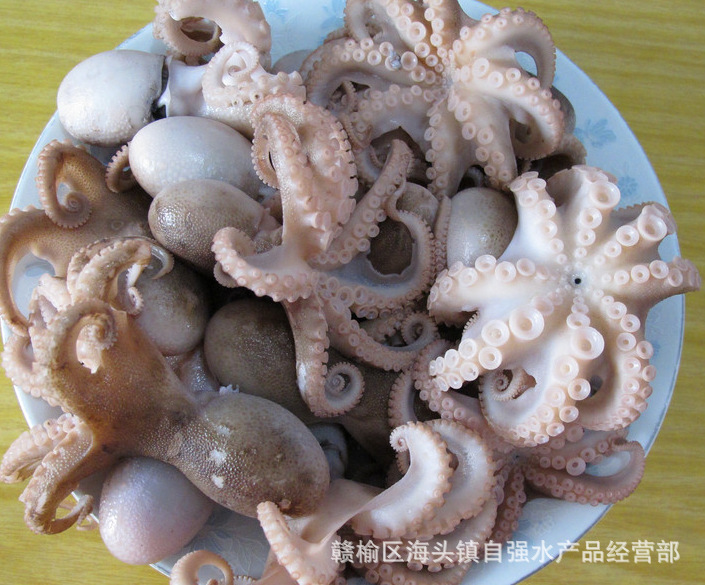 【常年供应】活八带/长腿八带/马蛸/章鱼/八爪鱼