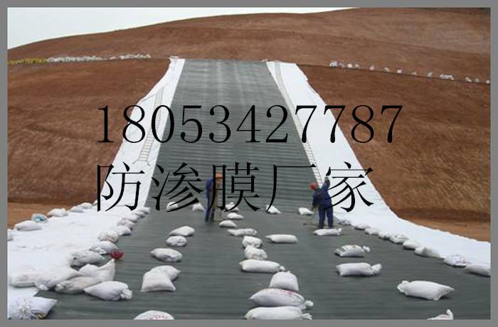 HDPE防渗土工膜