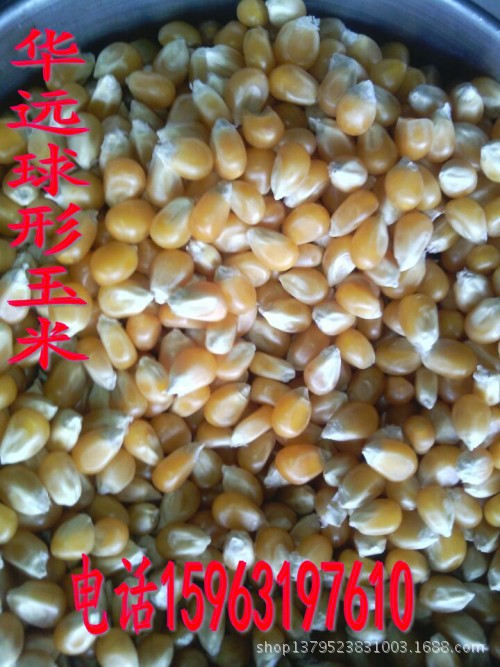 AD95332CEFF02FB35196A0FA58D466