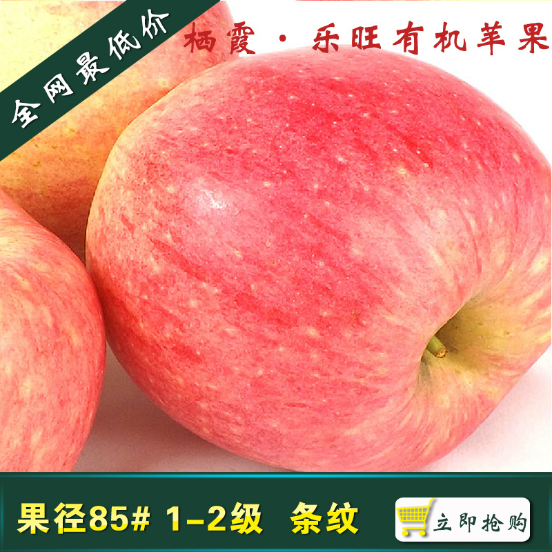 烟台红富士苹果批发 正宗红富士 直径 85mm苹果 酸甜可口 10斤装