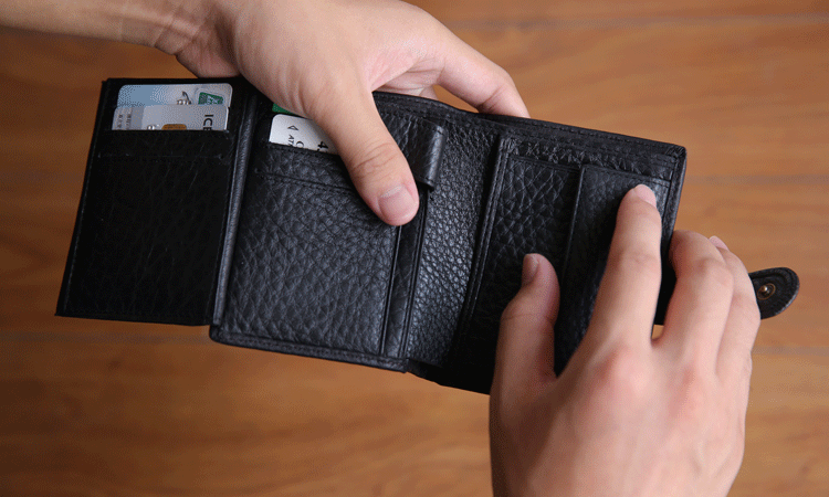 ds钱包真皮钱包牛皮钱包 新款皮夹商务票夹 新西兰原单 诚招代理图片