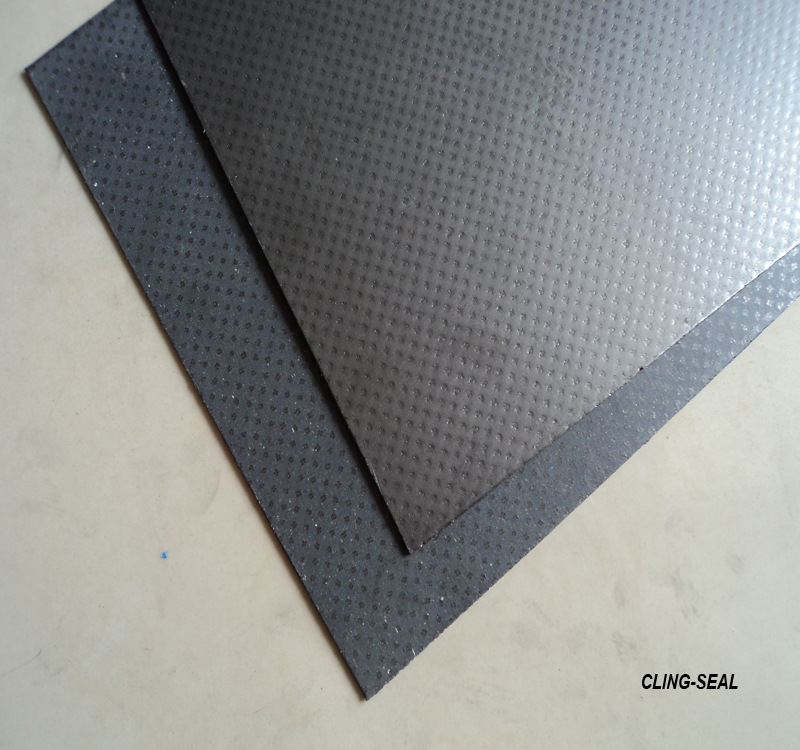 coated graphite reinforced non