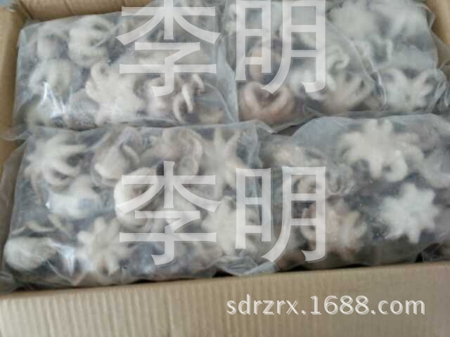 厂家批发供应营养丰富含牛磺酸的天然海扑味道鲜美3去小八爪鱼