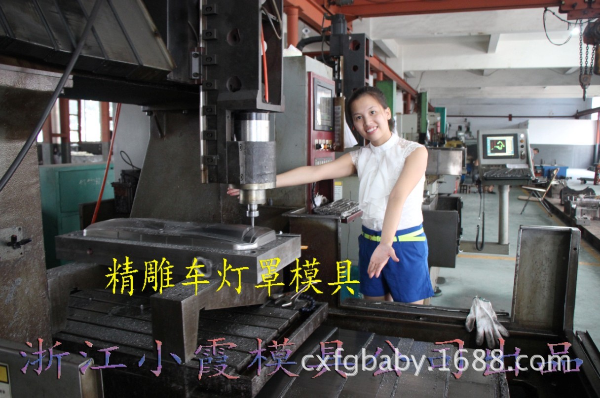 浙江小霞模具加工中的模具 (24)
