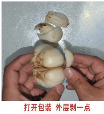 T2ApEPXmhaXXXXXXXX-333441489_副