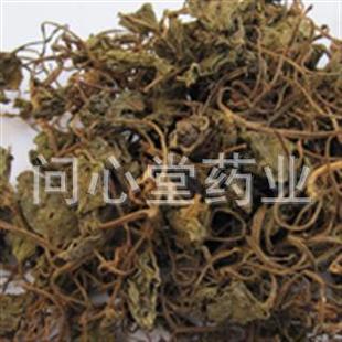 中药材 青天葵 独脚天葵 珍珠叶 半边伞 药用保含量